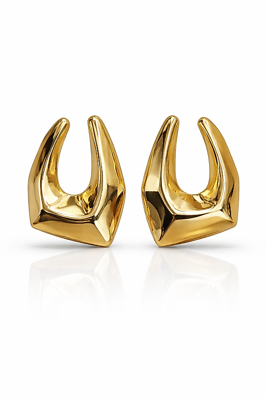 14K Altın Renk Modern Kalın Form Kadın Küpe